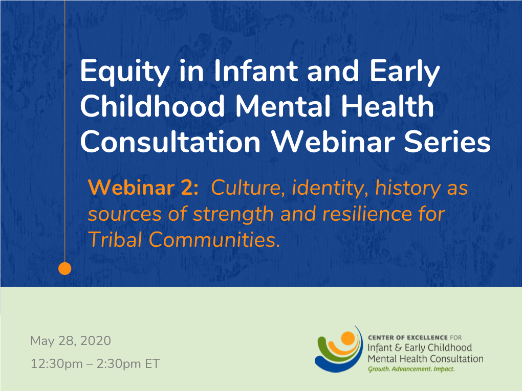 Equity in Infant and Early Childhood Mental Health