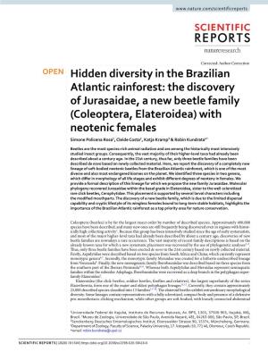 Hidden Diversity in the Brazilian Atlantic Rainforest