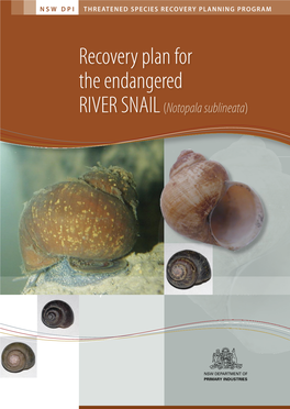 Recovery Plan for the Endangered RIVER SNAIL (Notopala Sublineata)