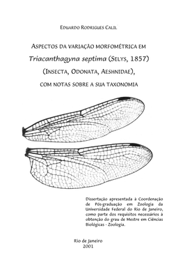 Triacanthagyna Septima- (SELYS, 185 7)