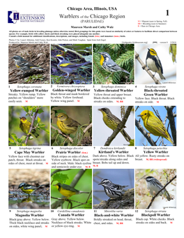 Warblers of the Chicago Region