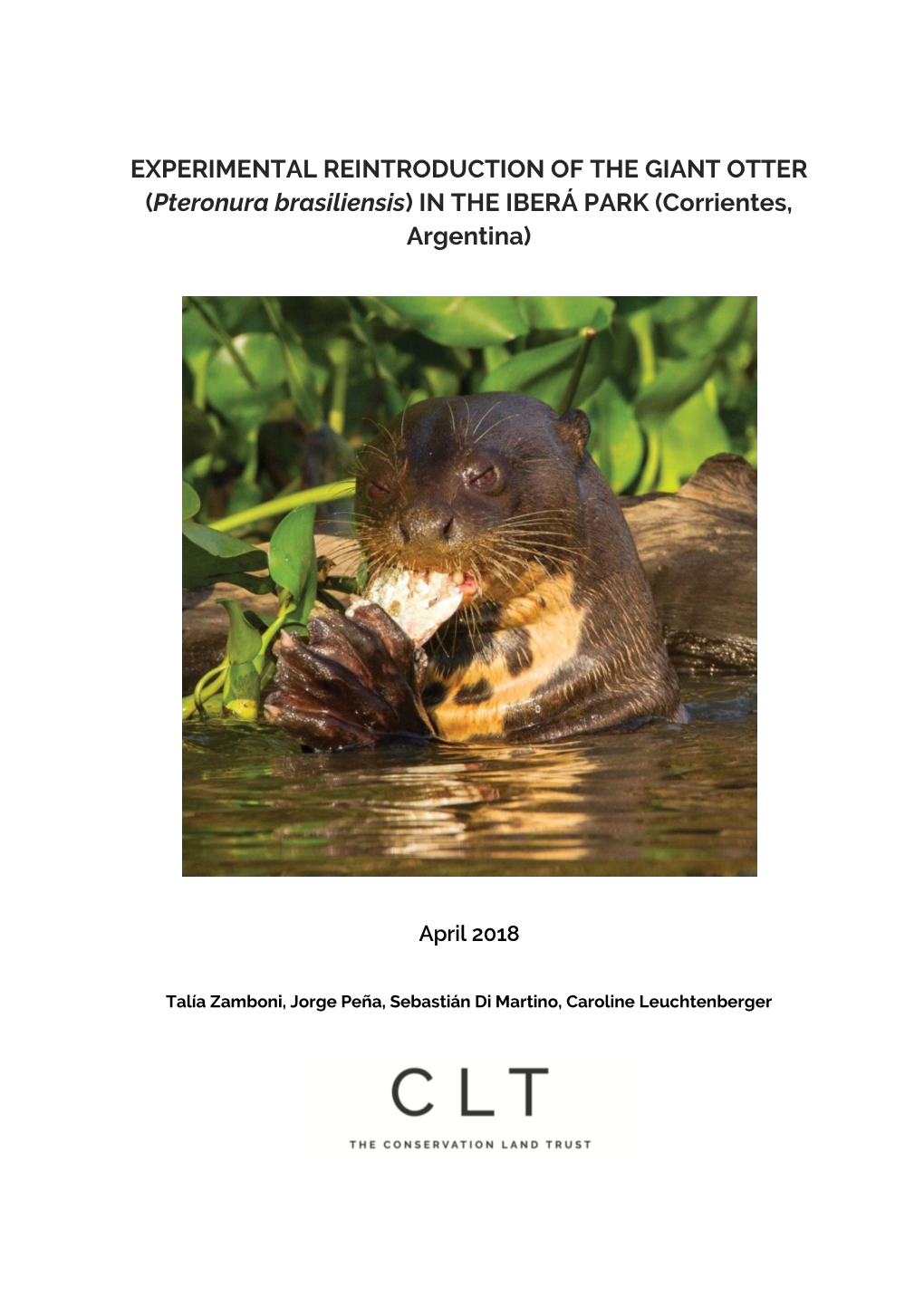 EXPERIMENTAL REINTRODUCTION of the GIANT OTTER (Pteronura Brasiliensis) in the IBERÁ PARK (Corrientes, Argentina)