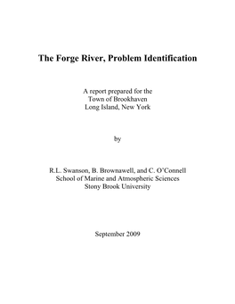 The Forge River, Problem Identification