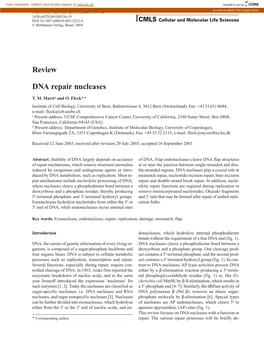 Review DNA Repair Nucleases