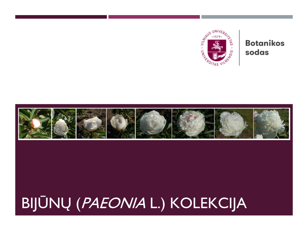 Bijūnų (Paeonia L.) Kolekcija Kultūrinių Augalų Genofondo Išsaugojimo Kolekcija