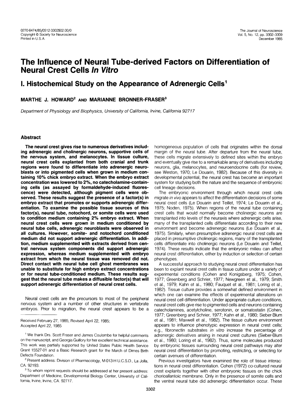 The Influence of Neural Tube-Derived Factors on Differentiation of Neural Crest Cells in Vitro I