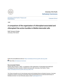 A Comparison of the Organization of Chloroplast-Associated and Chloroplast-Free Action Bundles in Nitella Internodal Cells