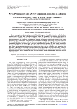 Cycad Aulacaspis Scale, a Newly Introduced Insect Pest in Indonesia