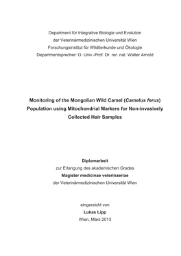 Camelus Ferus) Population Using Mitochondrial Markers for Non-Invasively Collected Hair Samples