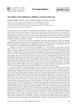Zootaxa, the Tadpole of the Madagascar Bullfrog, Laliostoma