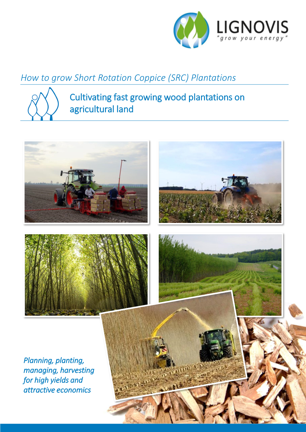 How to Grow Short Rotation Plantations