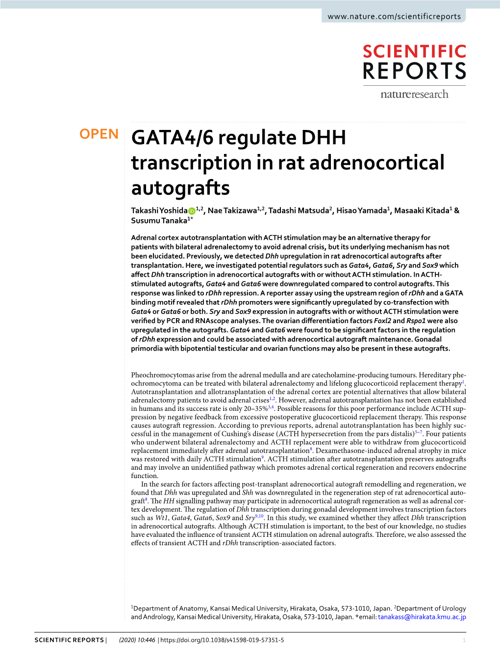 GATA4/6 Regulate DHH Transcription in Rat Adrenocortical Autografts
