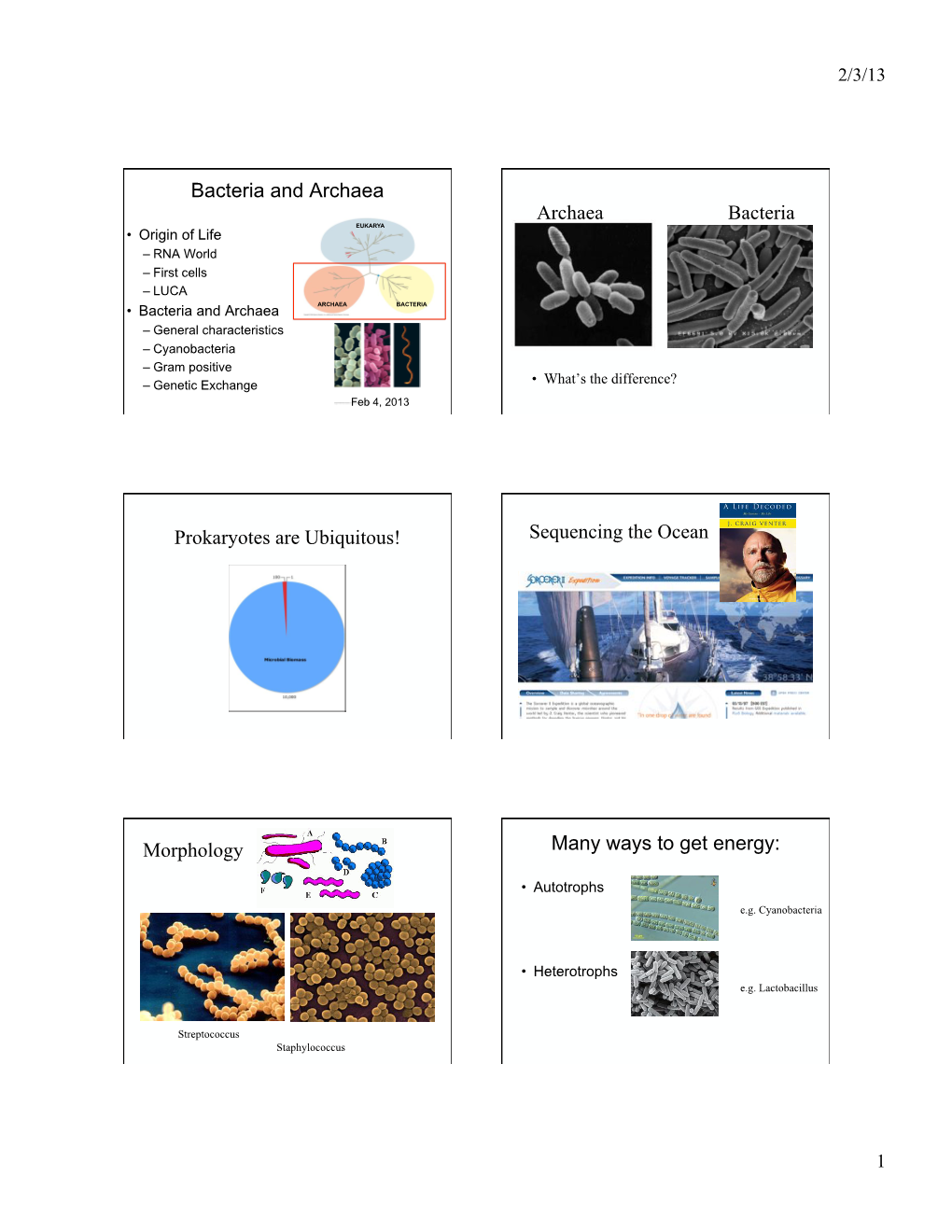 Bacteria and Archaea Archaea Bacteria Prokaryotes Are Ubiquitous!