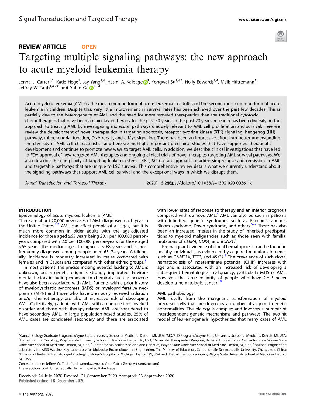 Targeting Multiple Signaling Pathways: the New Approach to Acute Myeloid Leukemia Therapy