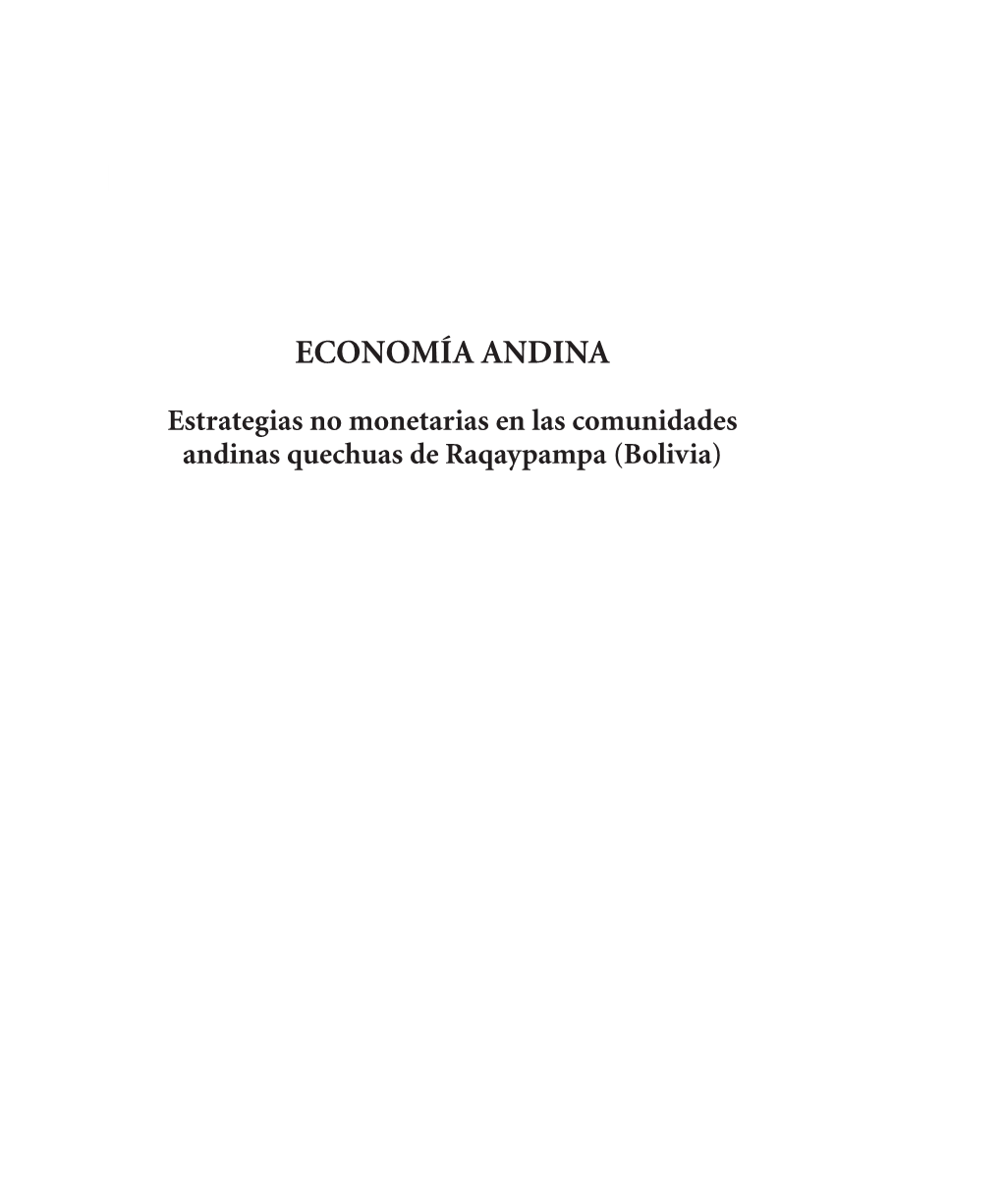 Economía Andina