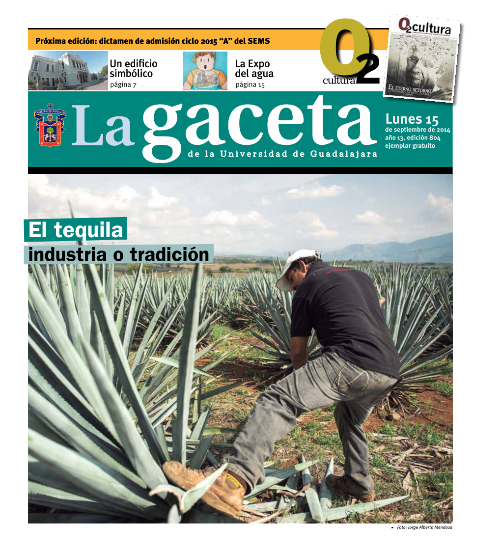 El Tequila Industria O Tradición