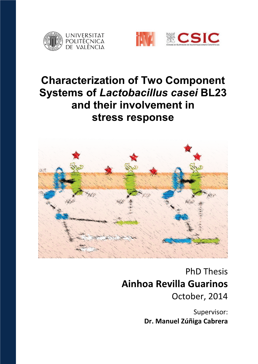 Lactobacillus Casei BL23 and Their Involvement in Stress Response