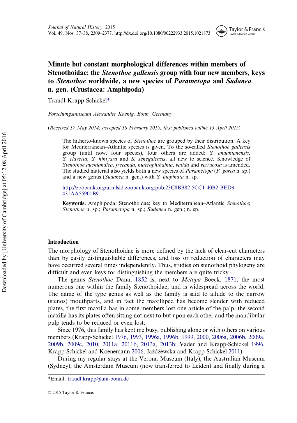 Minute but Constant Morphological Differences Within