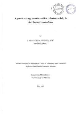 A Genetic Strategy to Reduce Sulfite Reductase Activity In