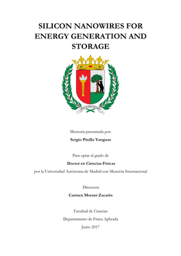 Silicon Nanowires for Energy Generation and Storage