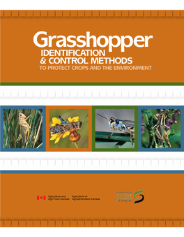 Grasshopper Identification & Control Methods to Protect Crops and the Environment Contents Introduction 2
