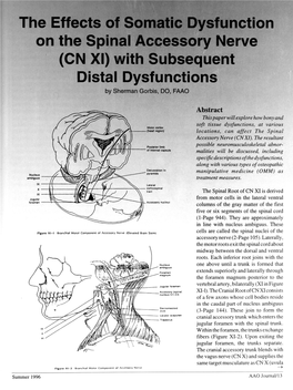 The Effects of Somatic Dysfunction on the Spinal Accessory Nerve (CN XI) with Subsequent Distal Dysfunctions by Sherman Gorbis, DO, FAAO