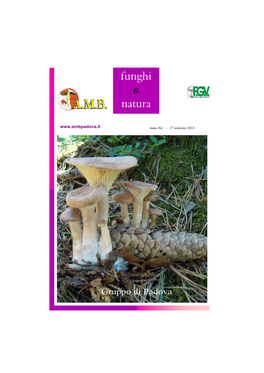 Funghi E Natura N. 2