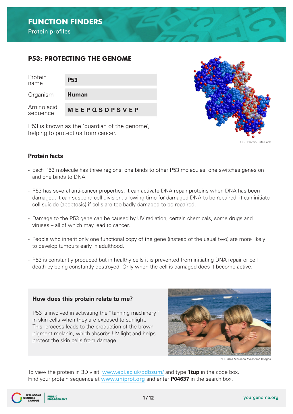 FUNCTION FINDERS Protein Profiles