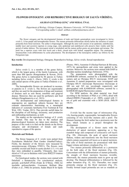 Flower Ontogeny and Reproductive Biology of Salvia Viridis L