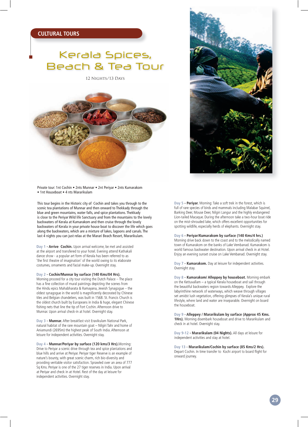 Kerala Spices, Beach & Tea Tour