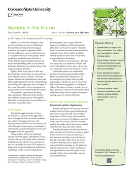 Spiders in the Home Fact Sheet No
