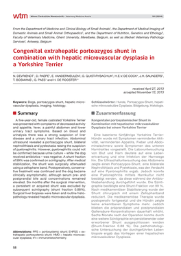 Congenital Extrahepatic Portoazygos Shunt in Combination with Hepatic Microvascular Dysplasia in a Yorkshire Terrier