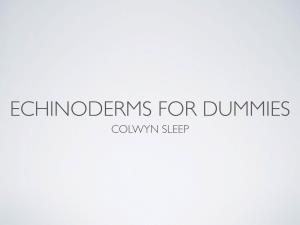 Echinoderms for Dummies Colwyn Sleep Echinoderm Classification and Examples