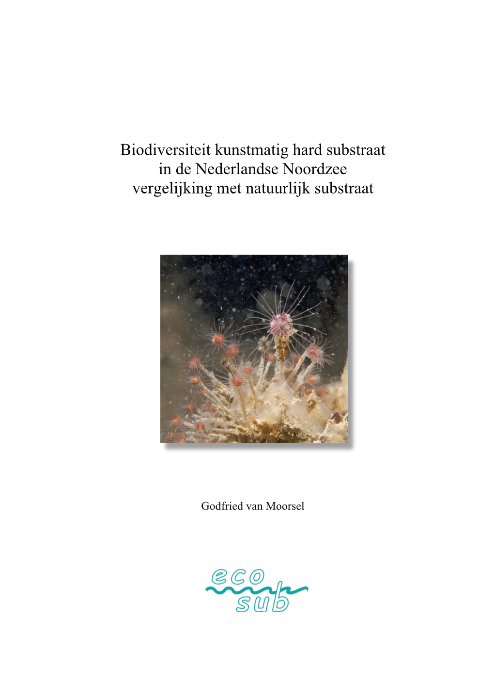 Biodiversiteit Kunstmatig Hard Substraat in De Nederlandse Noordzee Vergelijking Met Natuurlijk Substraat