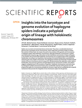 Insights Into the Karyotype and Genome Evolution of Haplogyne
