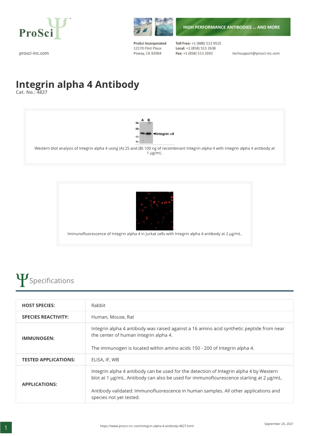 Integrin Alpha 4 Antibody Cat