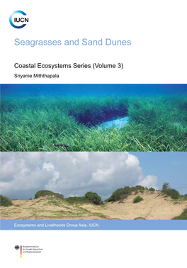 Seagrasses and Sand Dunes