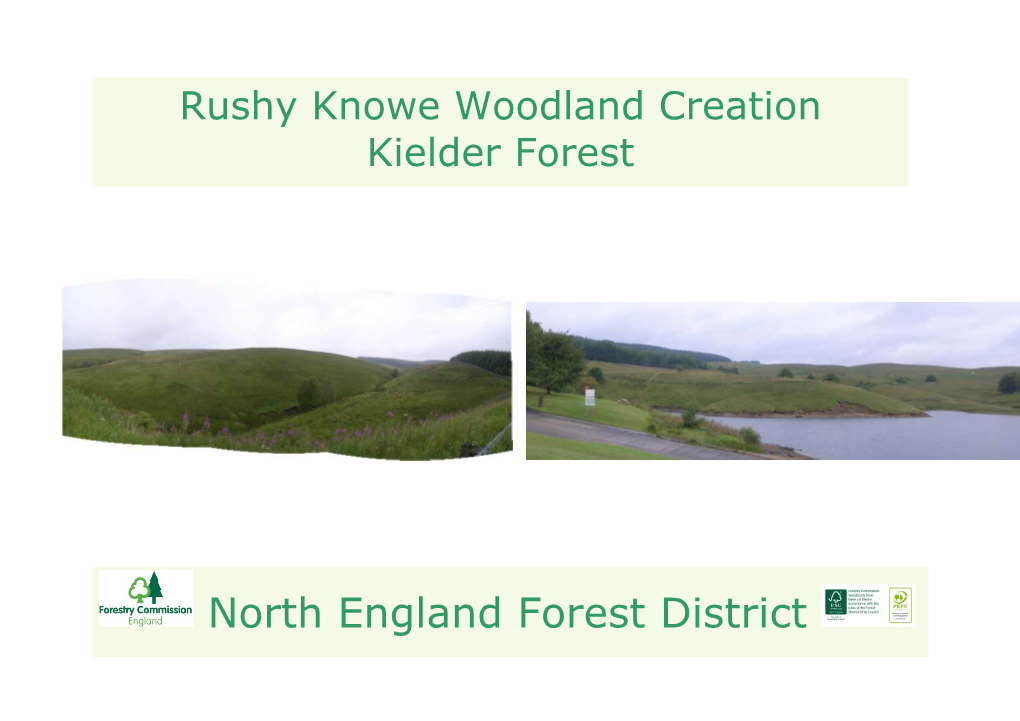 Rushy Knowe Woodland Creation Kielder Forest