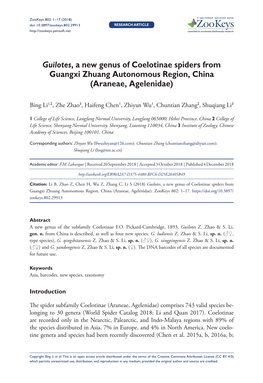 Guilotes, a New Genus of Coelotinae Spiders from Guangxi Zhuang