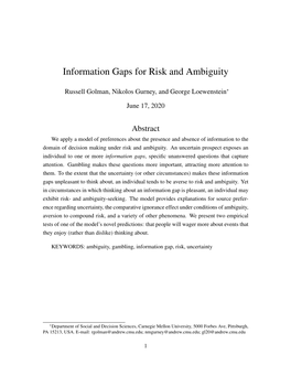 Information Gaps for Risk and Ambiguity