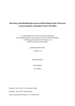 Diversity and Identification of Mycorrhizal Fungi of the Ericaceae Comarostaphylis Arbutoides from Costa Rica