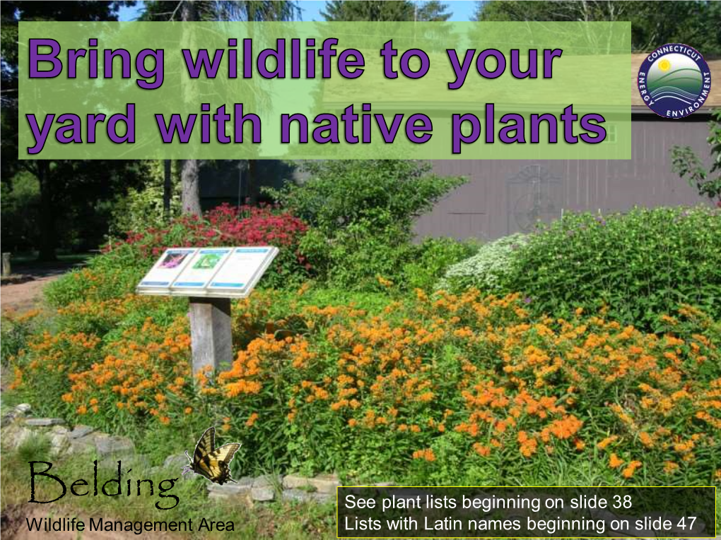 Native Landscaping: Bring Wildlife to Your Yard with Native Plants