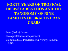 Forty Years of Tropical Deep-Sea Benthos and the Taxonomy of Nine Families of Brachyuran Crabs