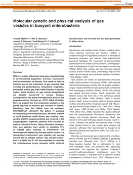 Molecular Genetic and Physical Analysis of Gas Vesicles in Buoyant Enterobacteria