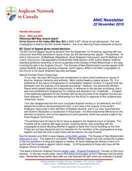 Anic Newsletter 22 November 2010