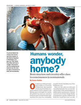 Science News | December 19, 2009 Feature | Humans Wonder, Anybody Home?