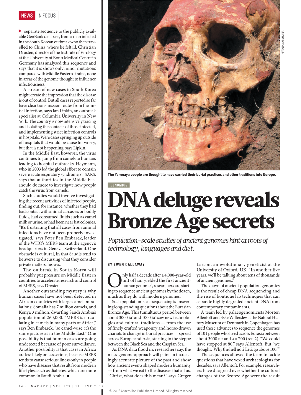 DNA Deluge Reveals Bronze Age Secrets