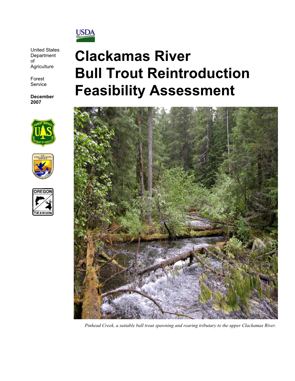 Clackamas River Bull Trout Reintroduction Feasibility Assessment