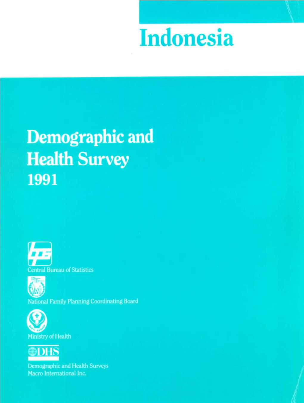 Indonesia Demographic and Health Survey 1991 [FR18]