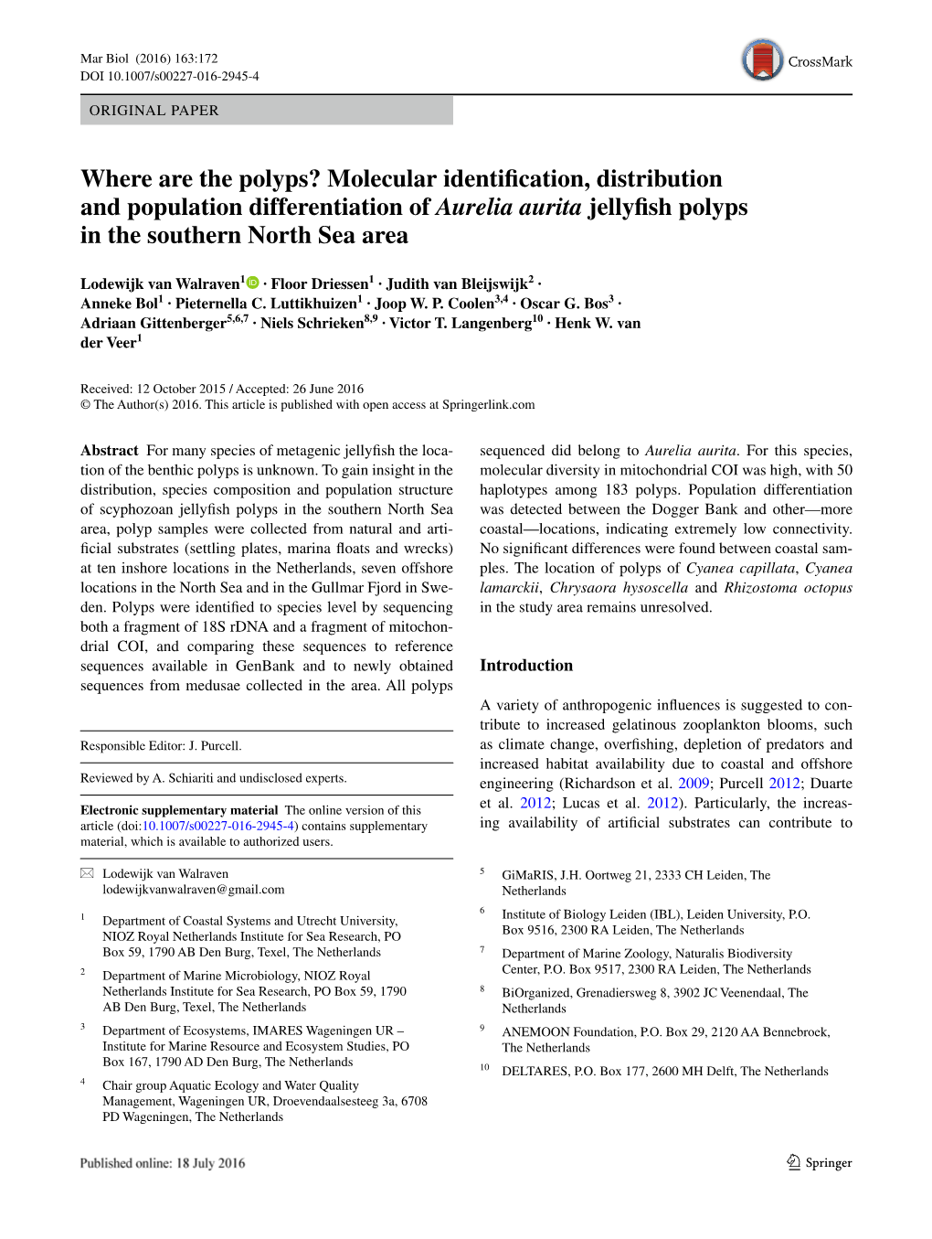 Molecular Identification, Distribution and Population Differentiation of Aurelia Aurita Jellyfish Polyps in the Southern North Sea Area